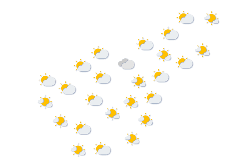 Forecast