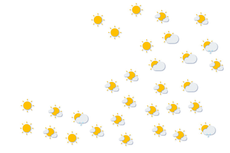 Forecast