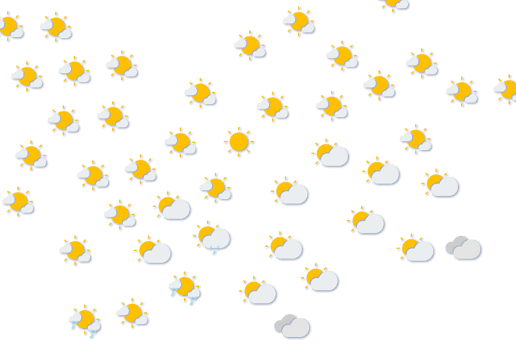 Forecast