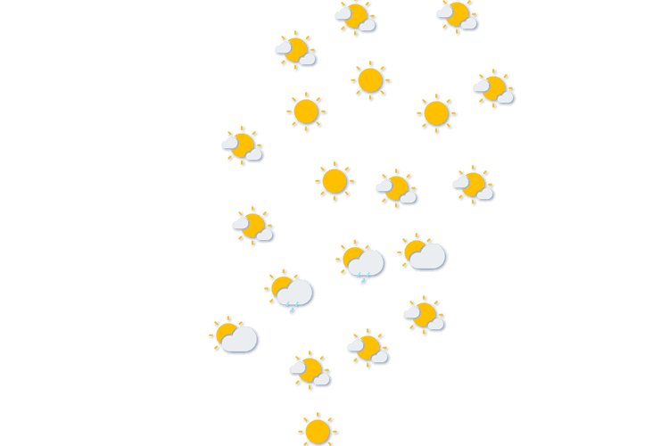 Forecast