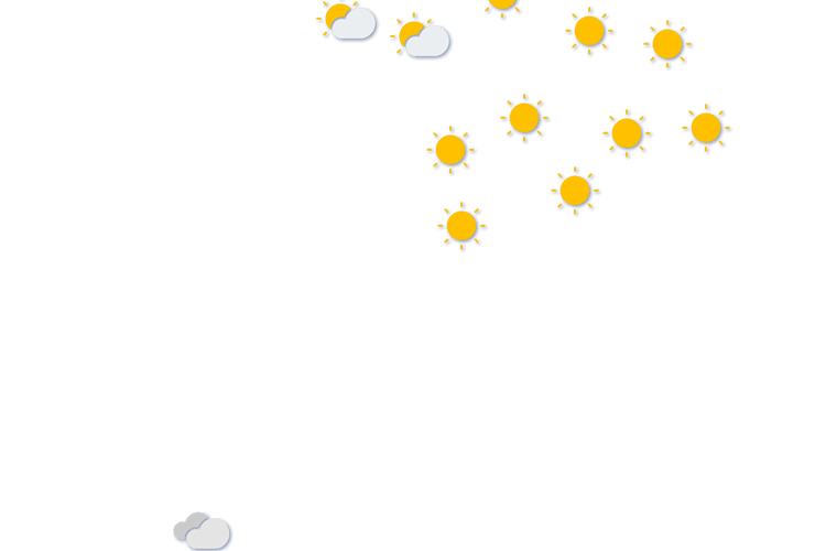 Forecast