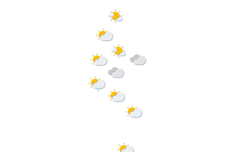 Forecast