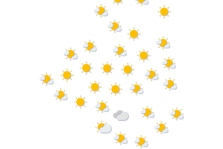 Forecast