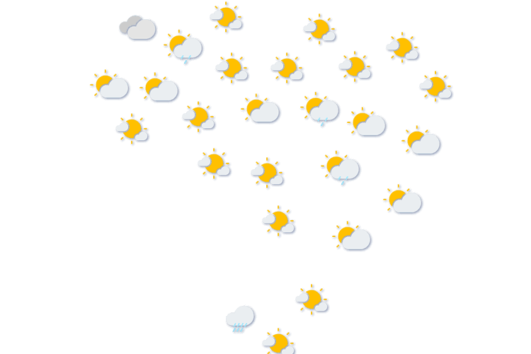 Forecast