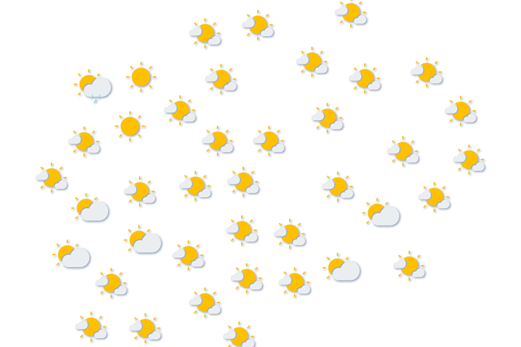 Forecast