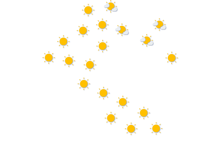 Forecast