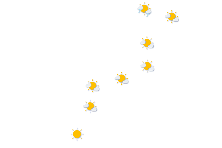 Forecast