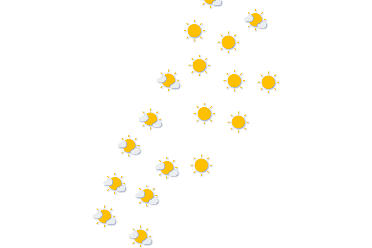 Forecast