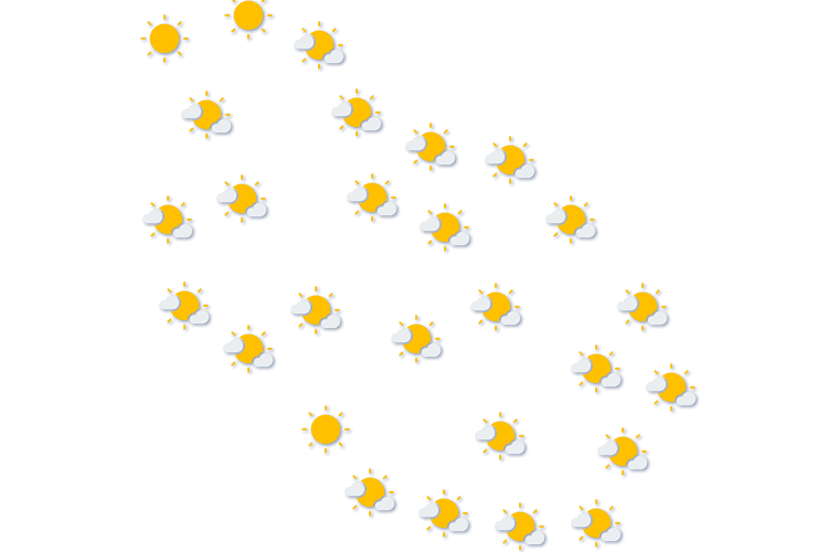 Forecast