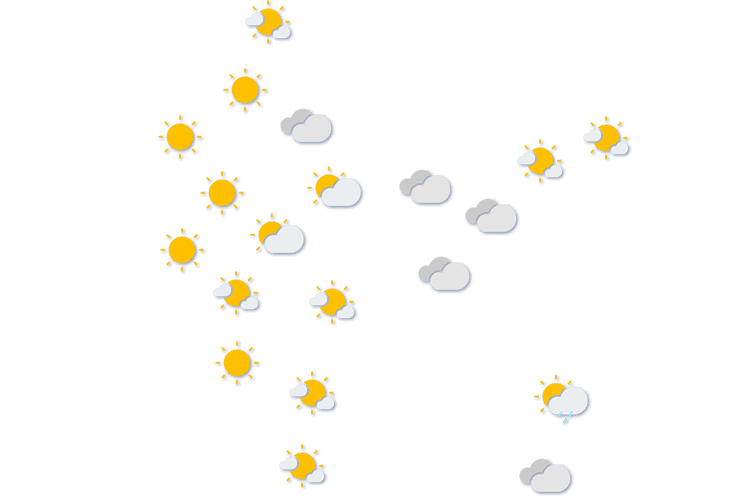 Forecast