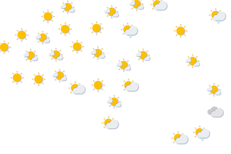 Forecast