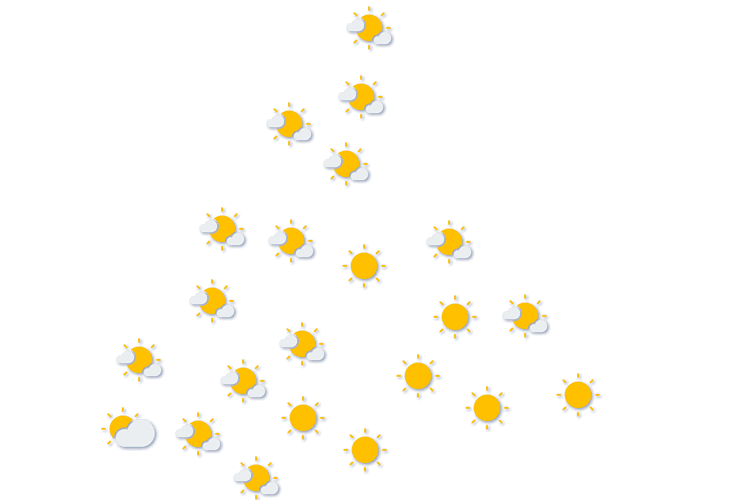 Forecast