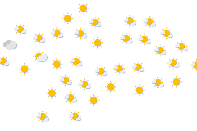 Forecast