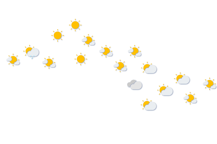 Forecast