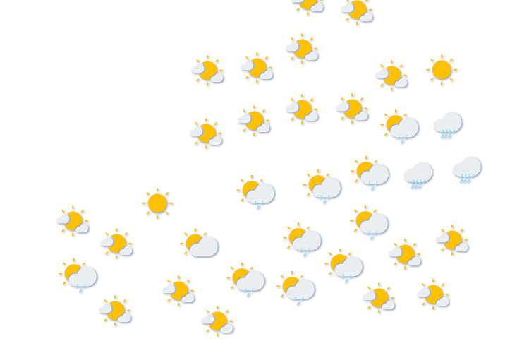 Forecast