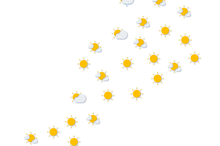 Forecast