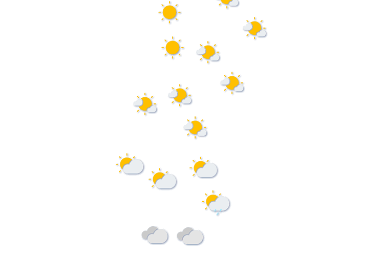 Forecast
