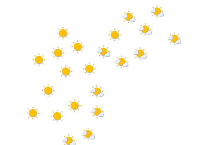 Forecast