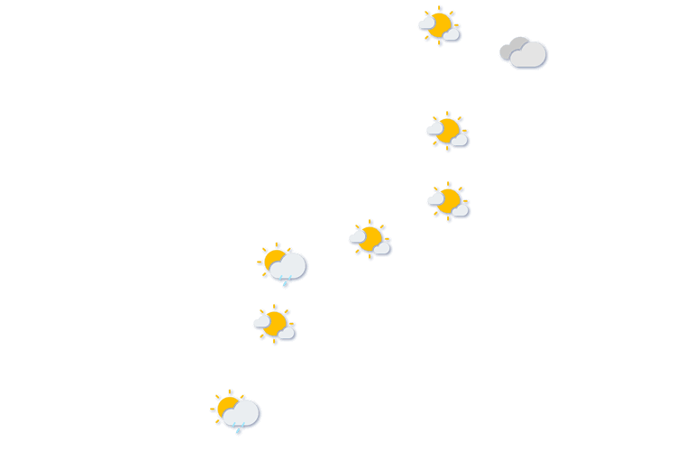 Forecast