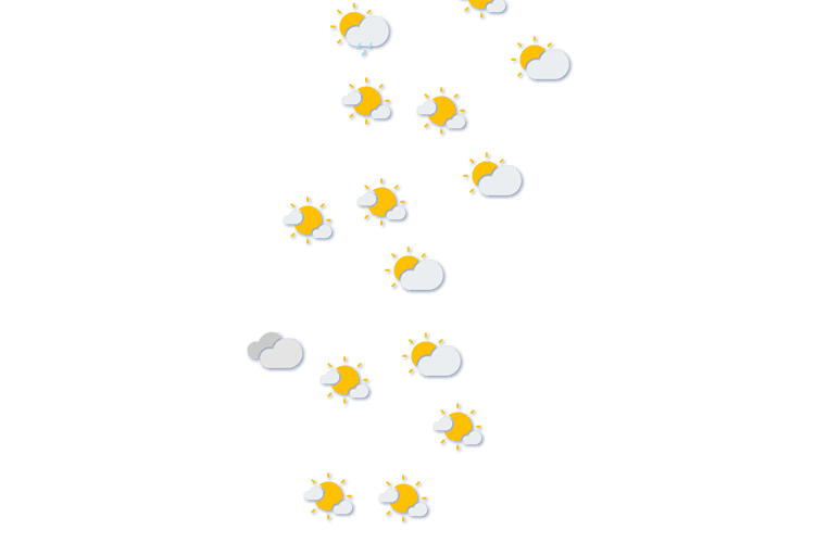 Forecast