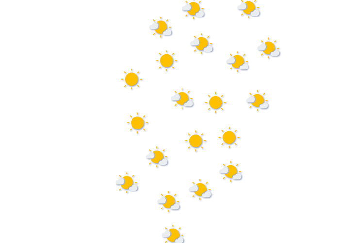 Forecast