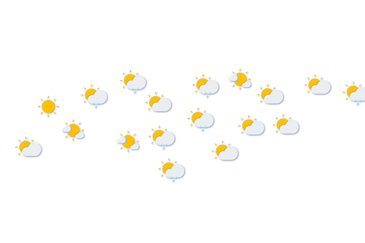 Forecast
