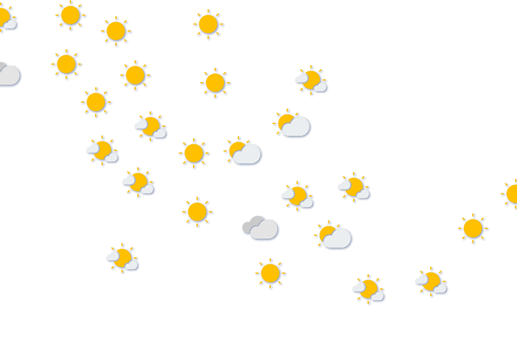 Forecast
