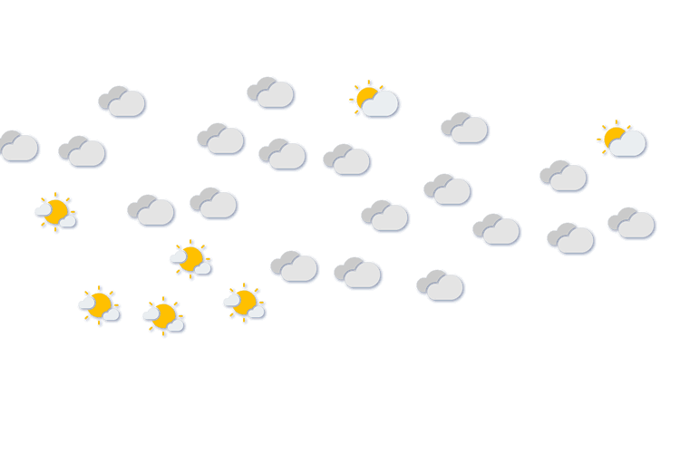 Forecast