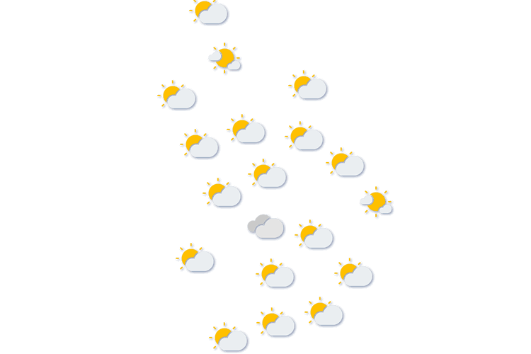 Forecast