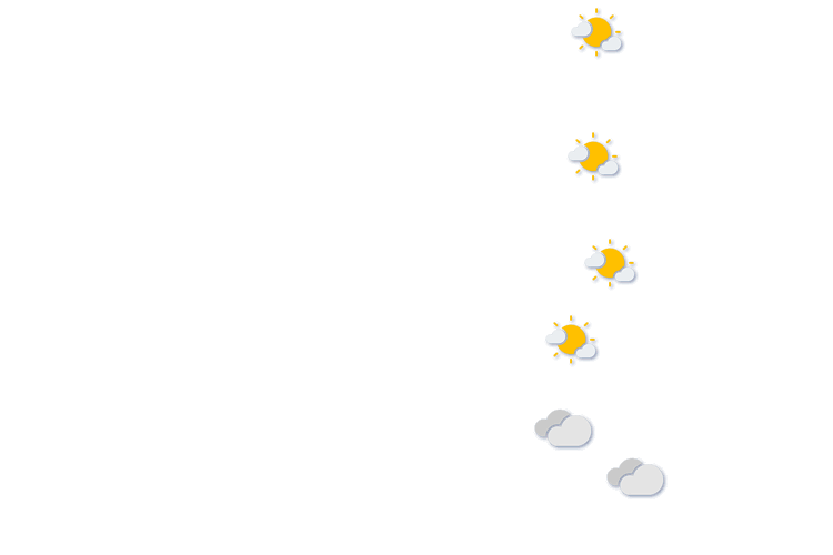 Forecast