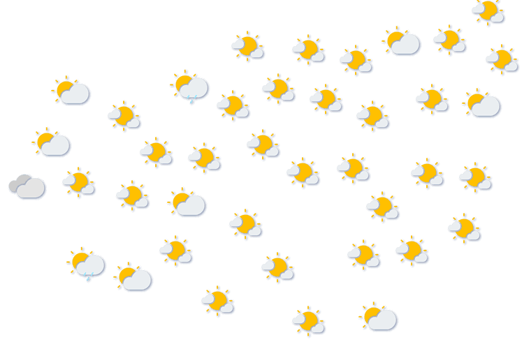 Forecast
