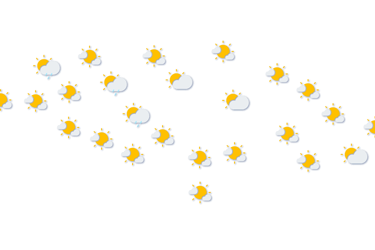Forecast