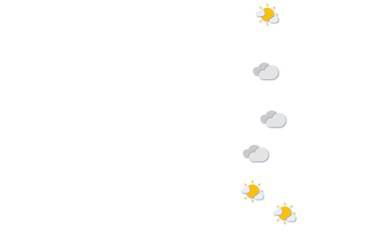 Forecast