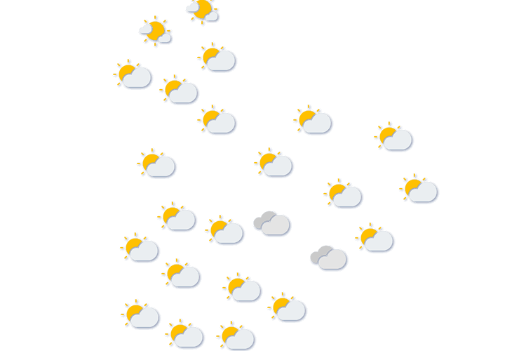 Forecast