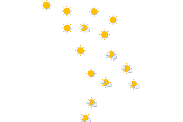 Forecast