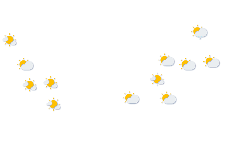 Forecast