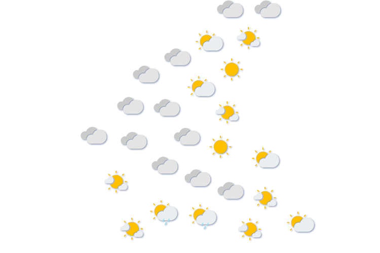 Forecast