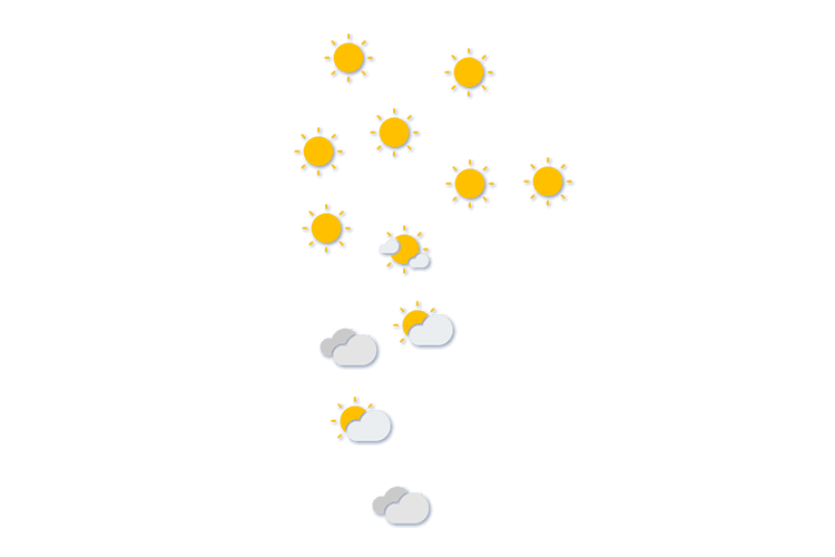 Forecast