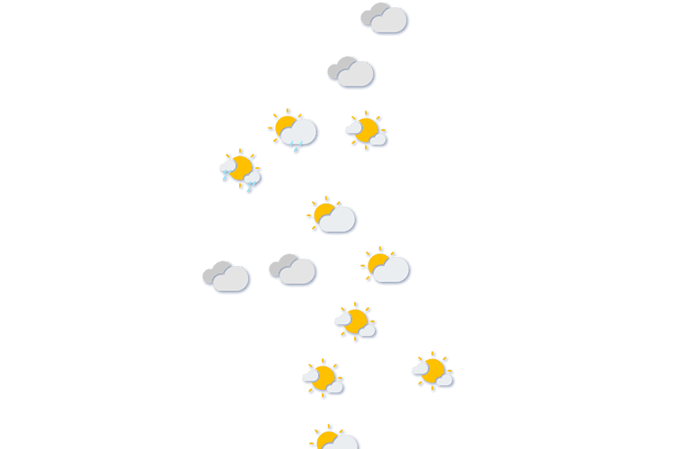 Forecast
