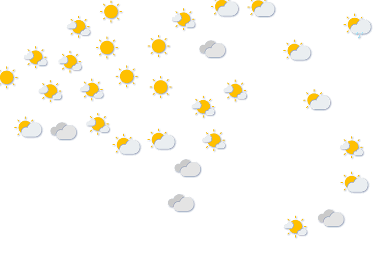 Forecast