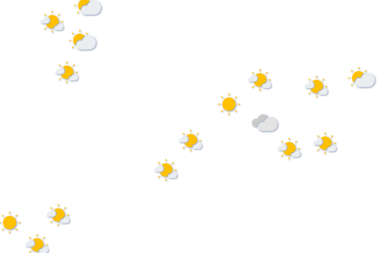 Forecast