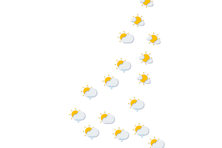 Forecast