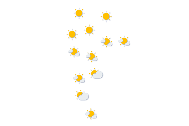Forecast
