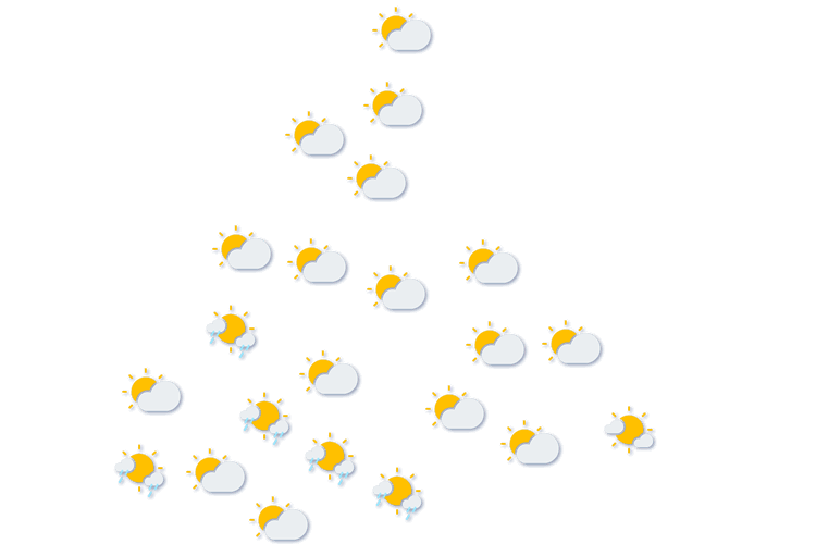 Forecast