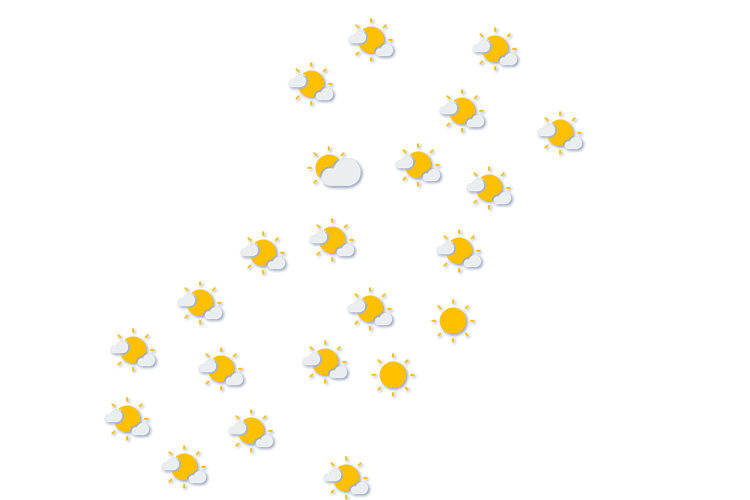 Forecast