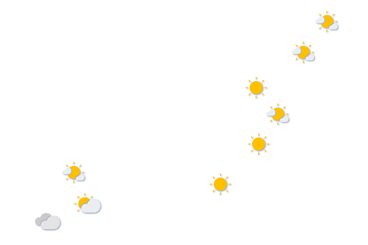 Forecast