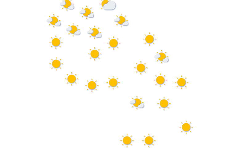 Forecast