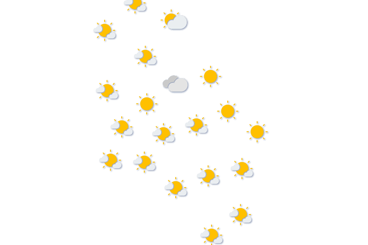 Forecast