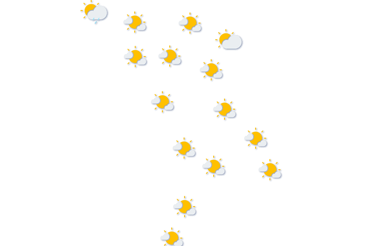 Forecast