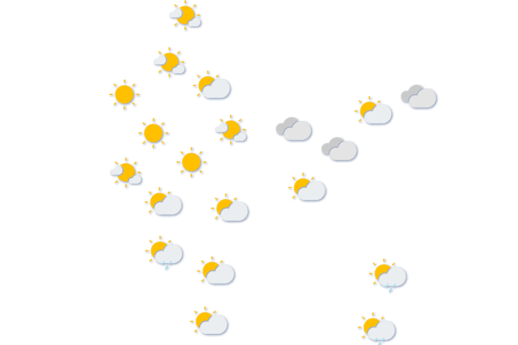 Forecast